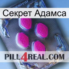 Секрет Адамса 02